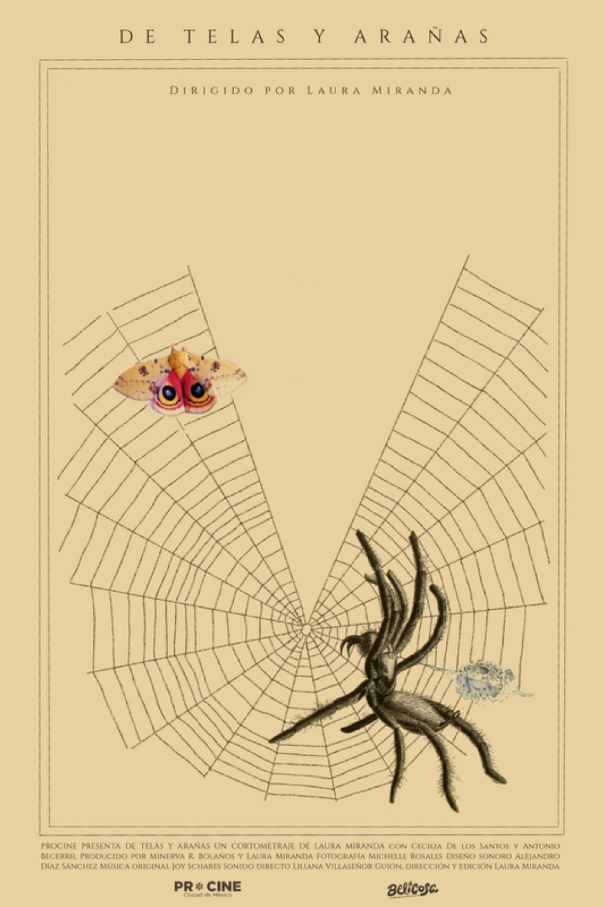 Poster backdrop for Of Webs and Spiders