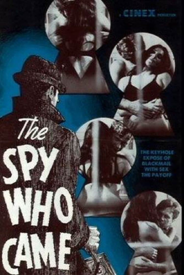 Poster backdrop for The Spy Who Came