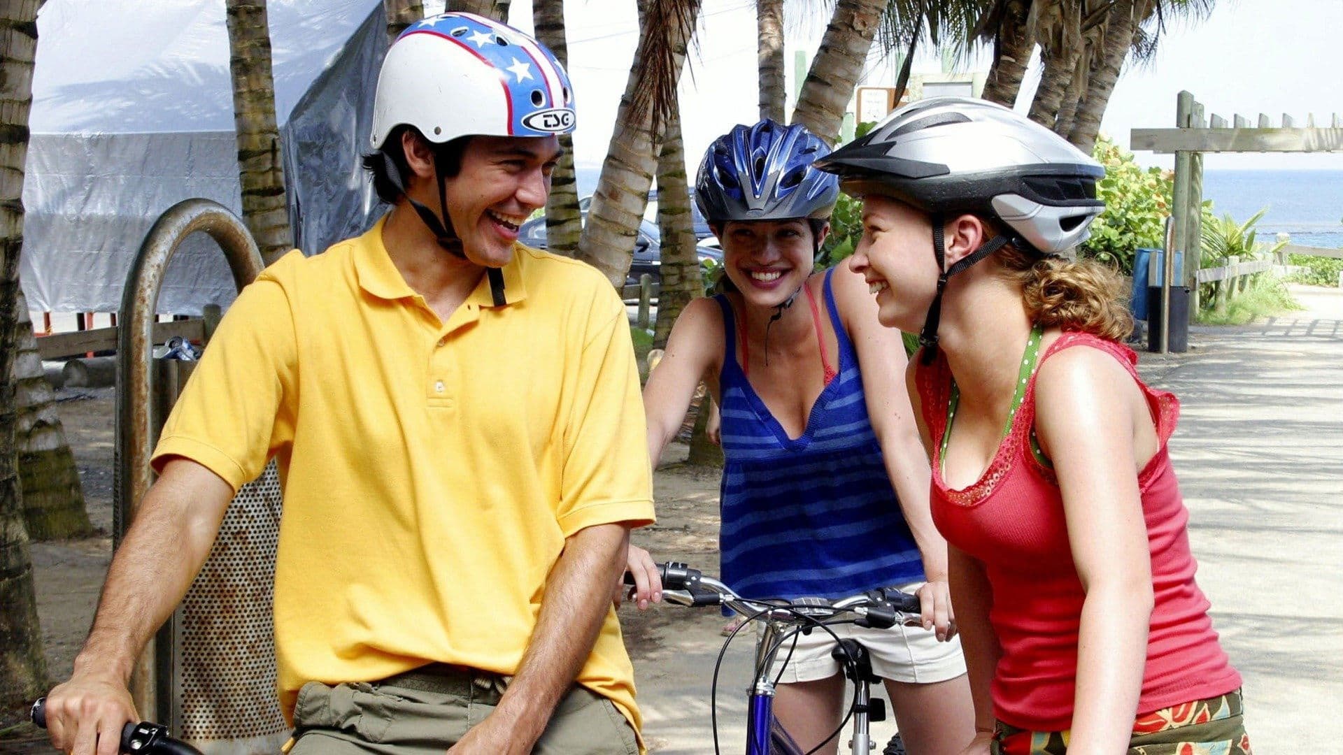 Poster backdrop for Au Pair 3: Adventure in Paradise