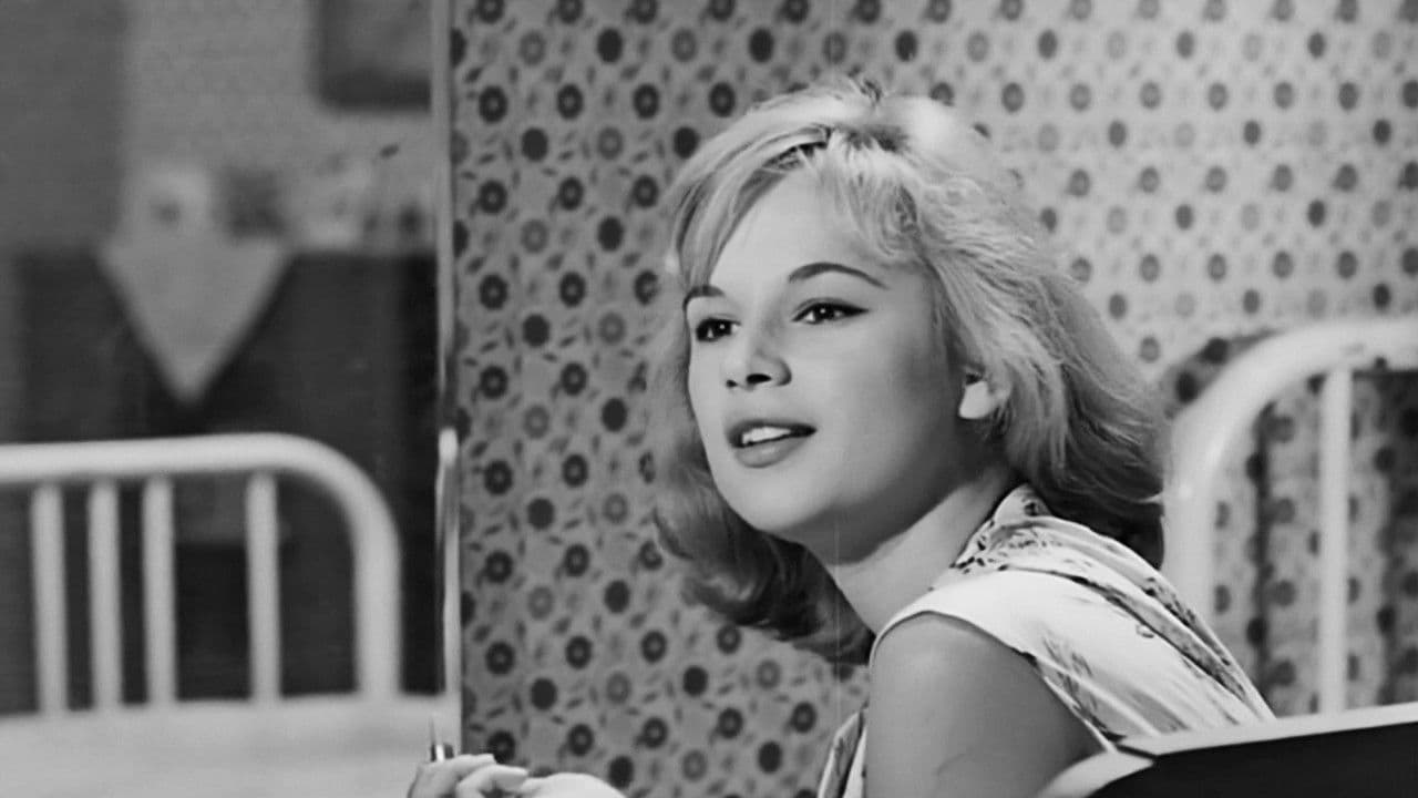 Poster backdrop for Erotic Stories