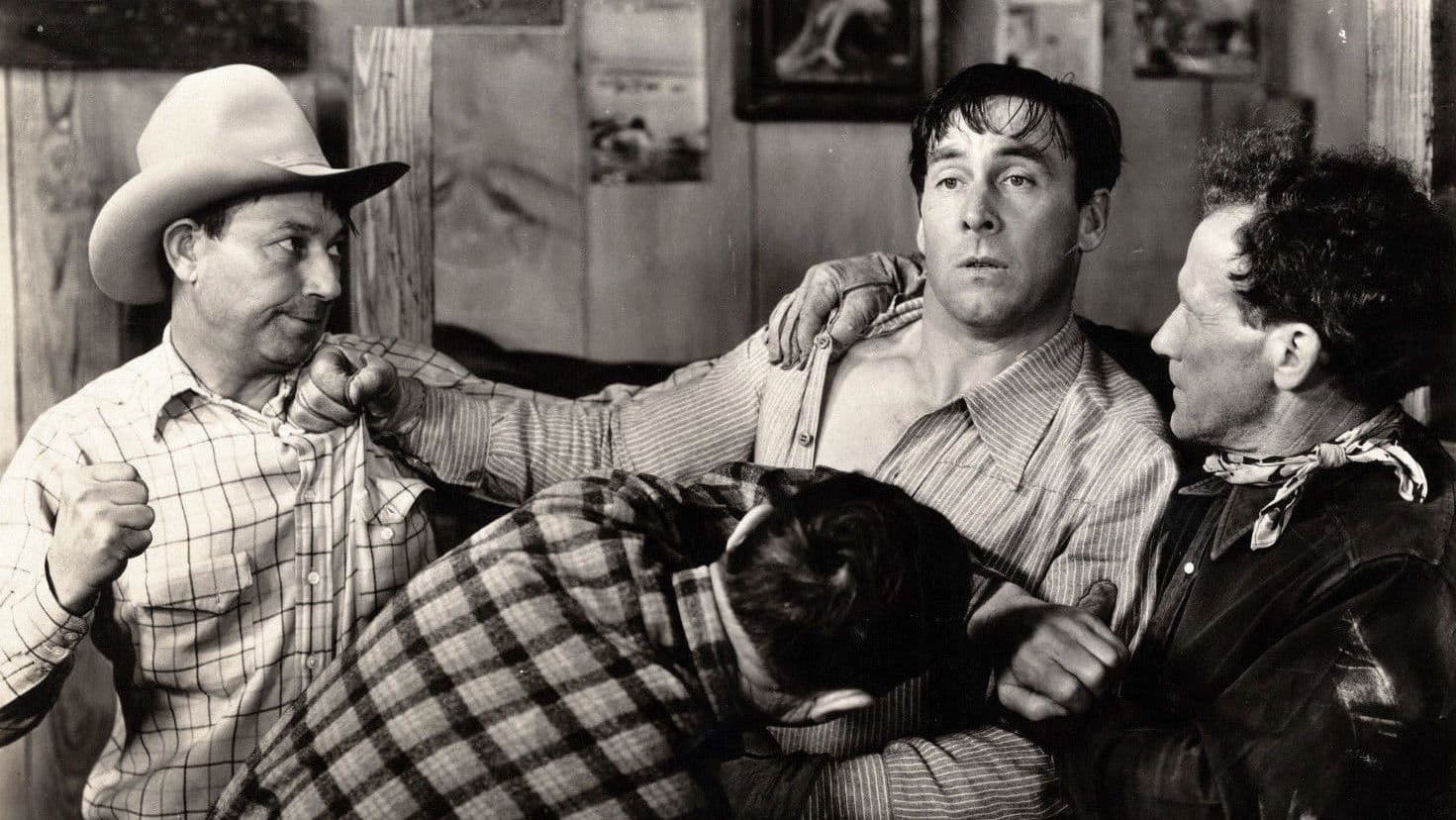 Poster backdrop for Border G-Man