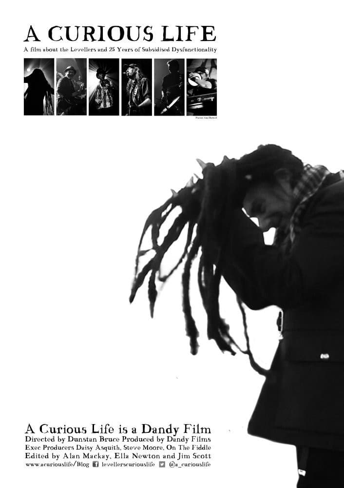 Poster backdrop for A Curious Life