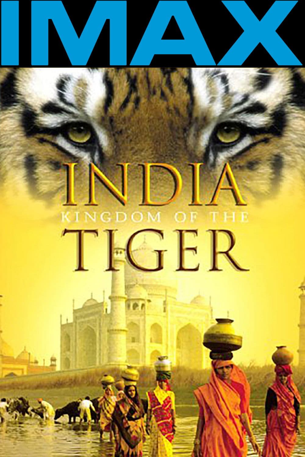 Poster backdrop for India: Kingdom of the Tiger