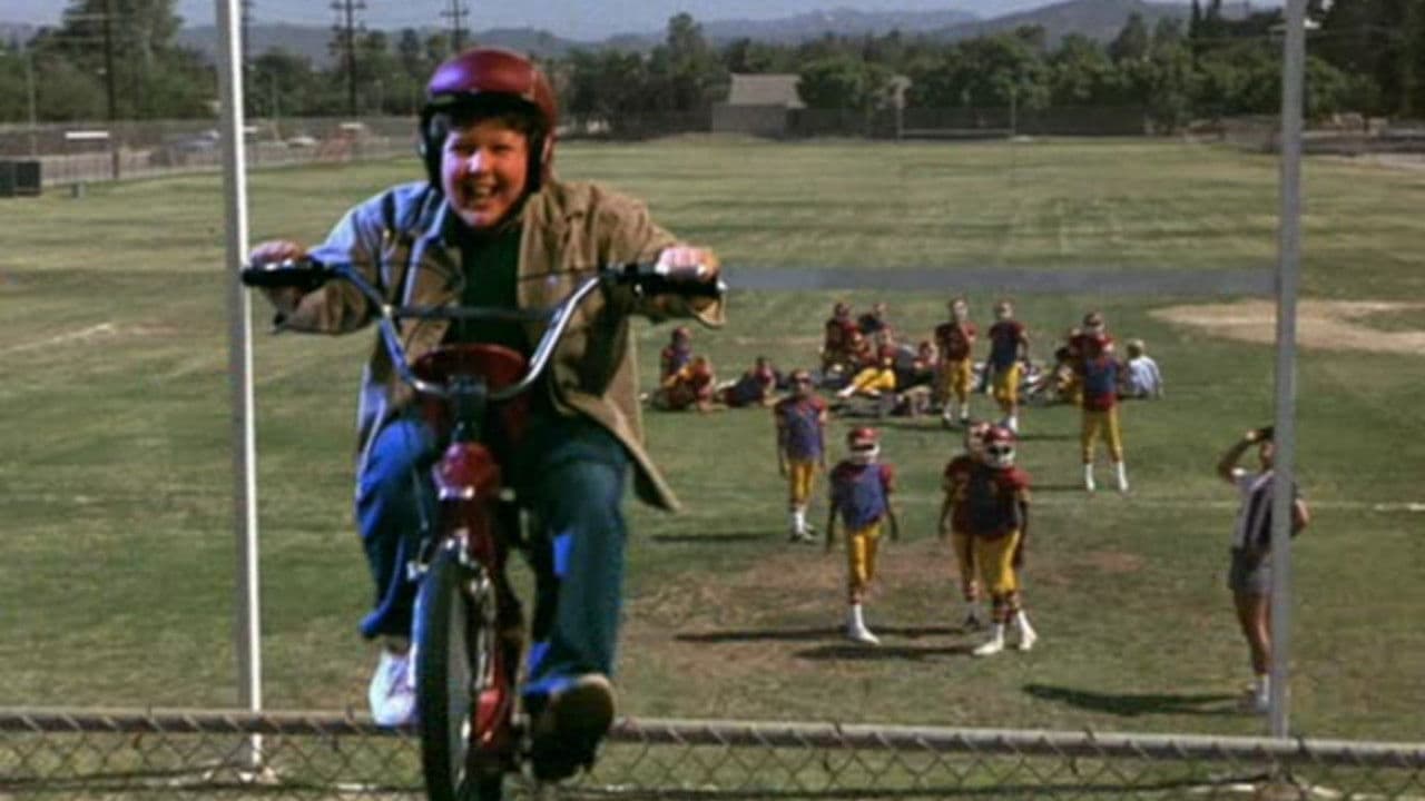 Poster backdrop for Ask Max