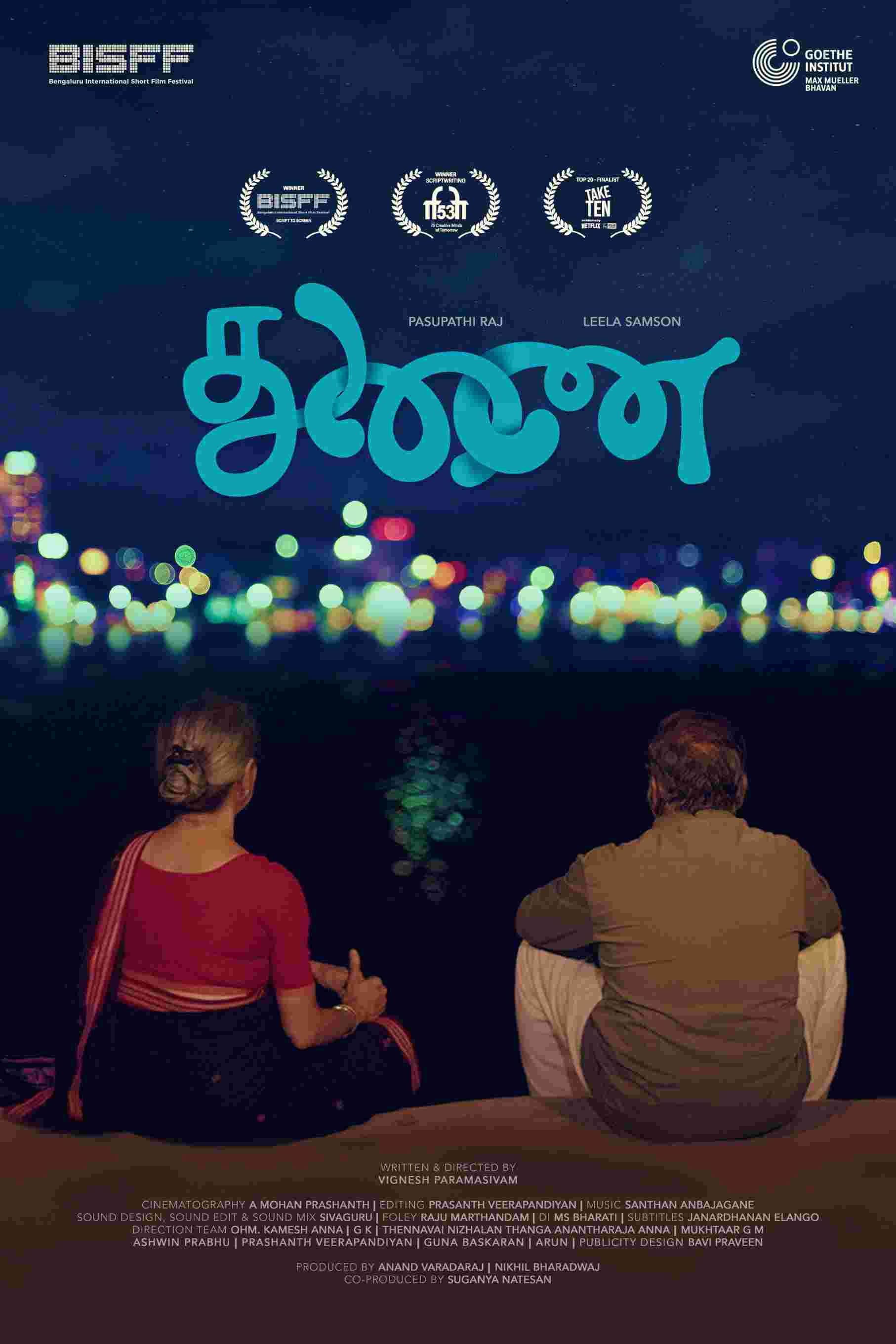 Poster backdrop for COMPANION