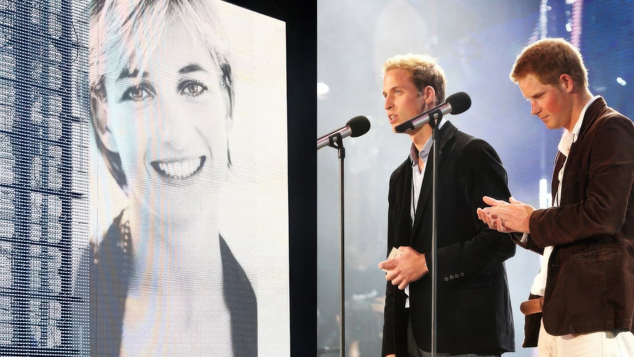 Poster backdrop for Concert for Diana