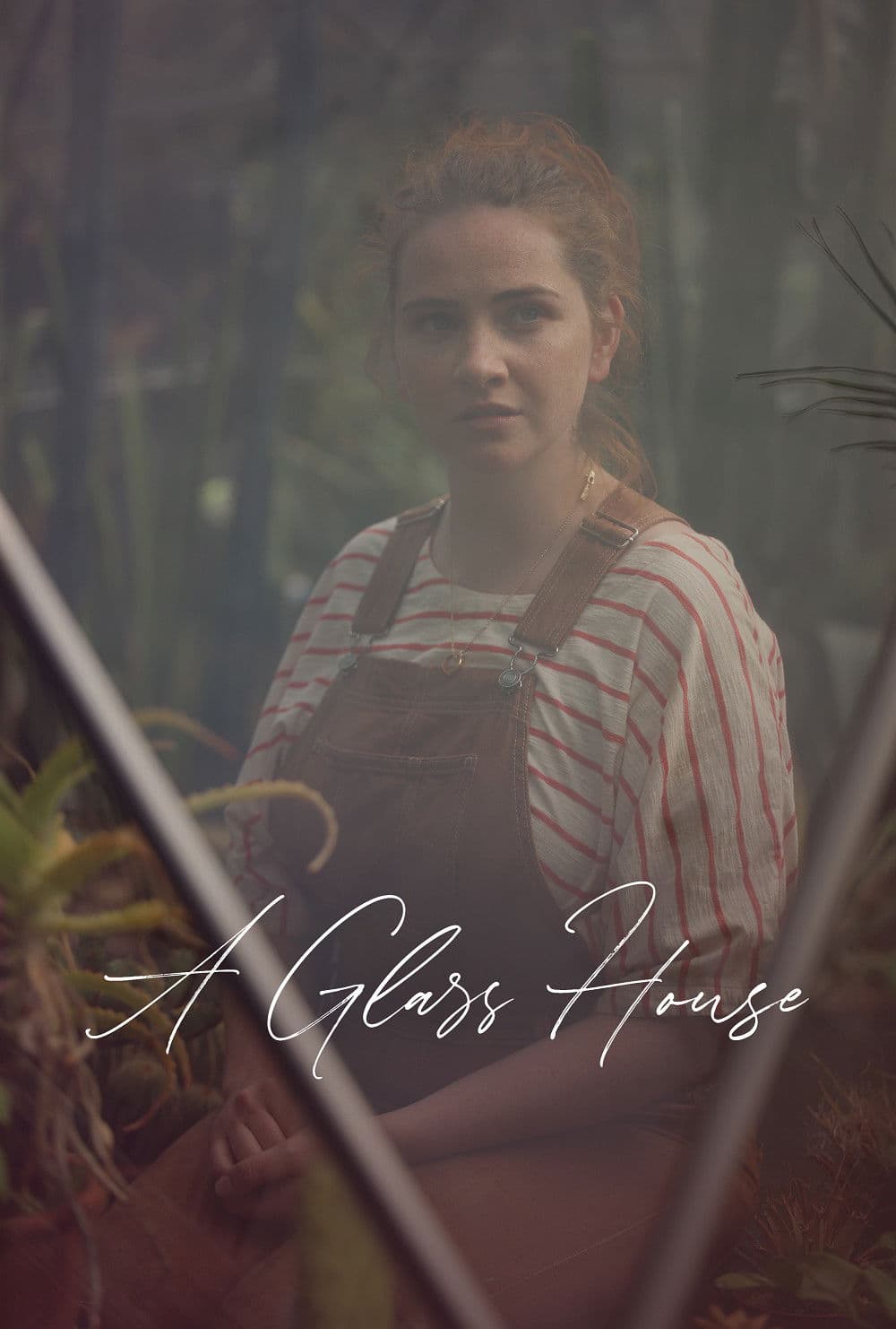 Poster backdrop for A Glass House