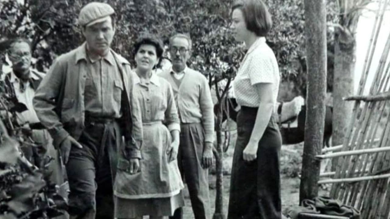 Poster backdrop for En la vía