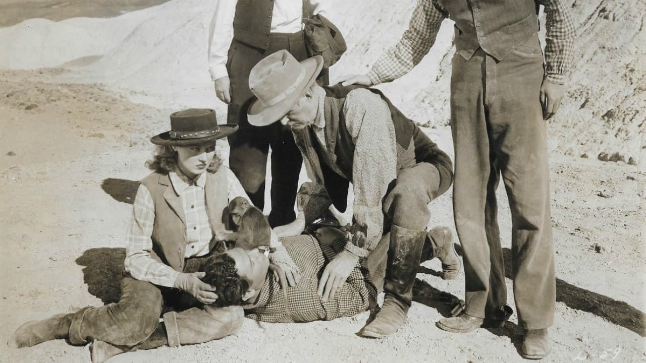 Poster backdrop for Death Valley