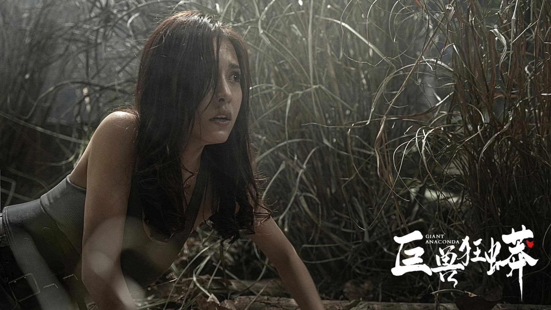 Poster backdrop for Giant Python