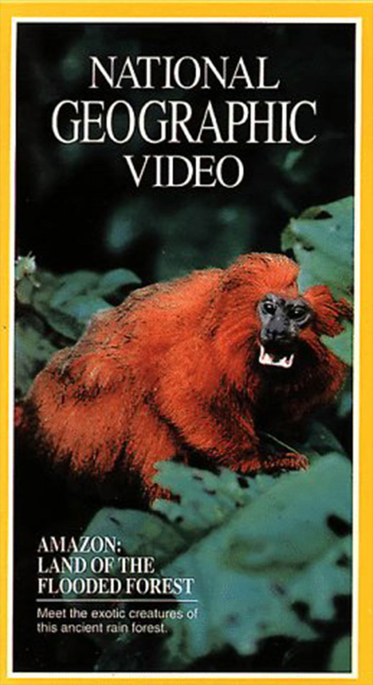 Poster backdrop for Amazon: Land of the Flooded Forest