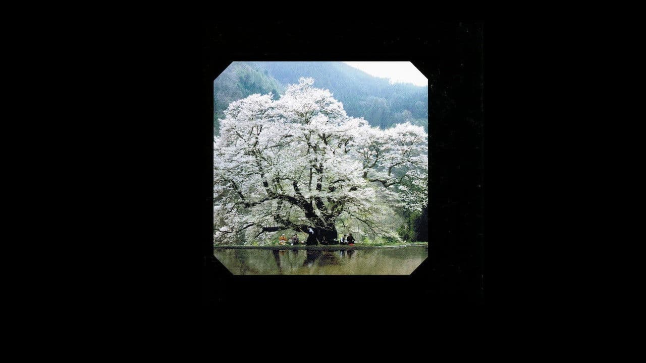 Poster backdrop for Clouds of Yesterday