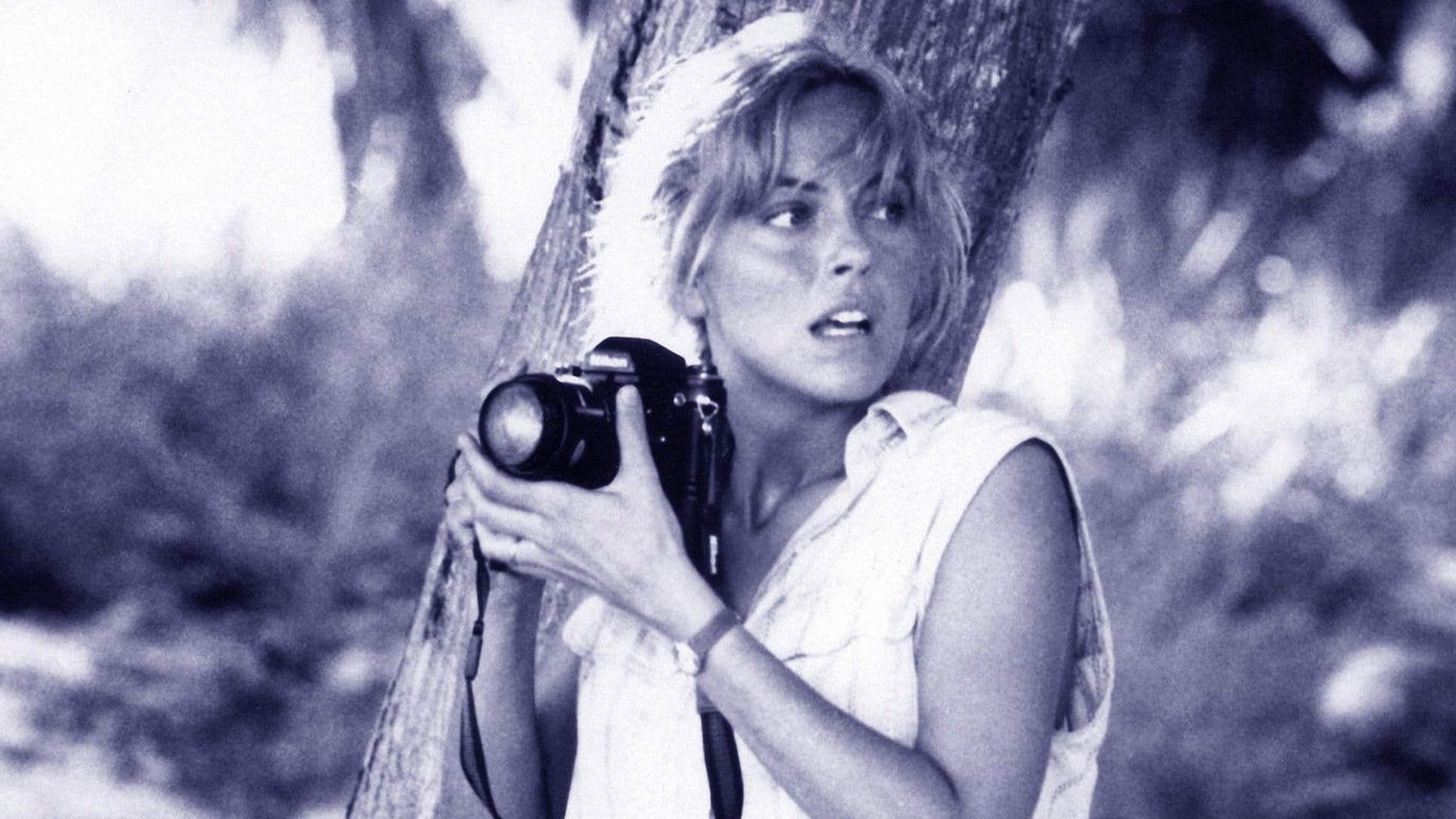 Poster backdrop for Turtle Beach