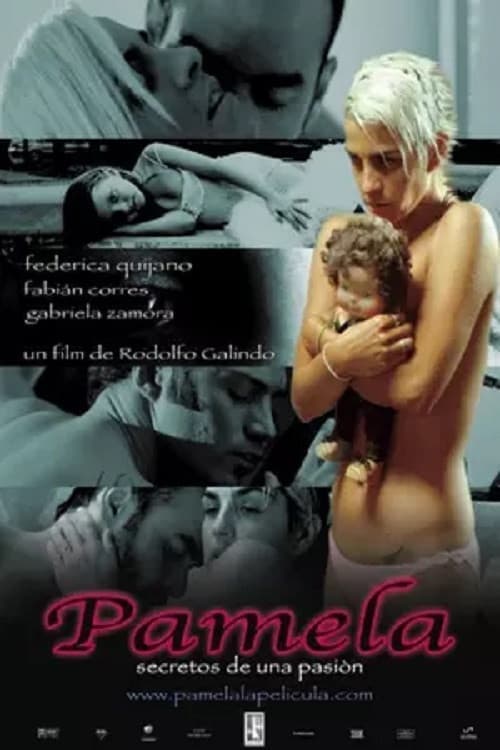 Poster backdrop for Pamela: secretos de una pasión