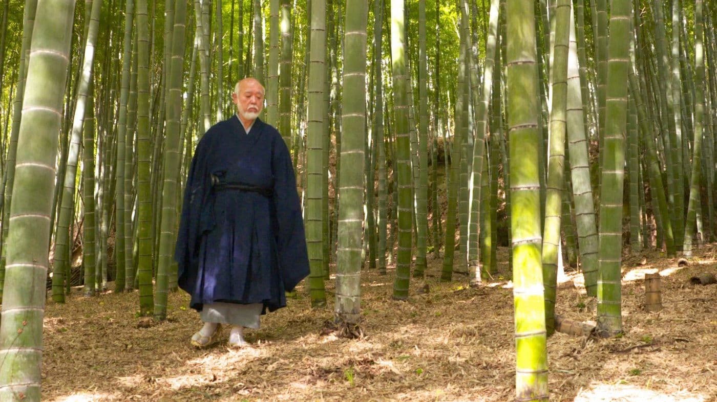 Poster backdrop for The Voyage of Bashô