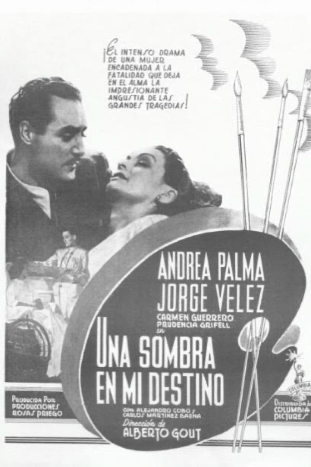 Poster backdrop for Una sombra en mi destino