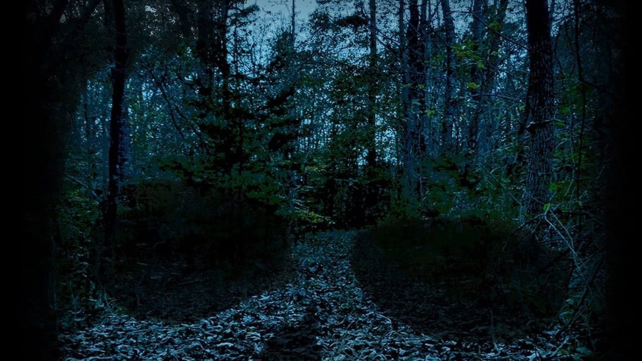 Poster backdrop for Char Man