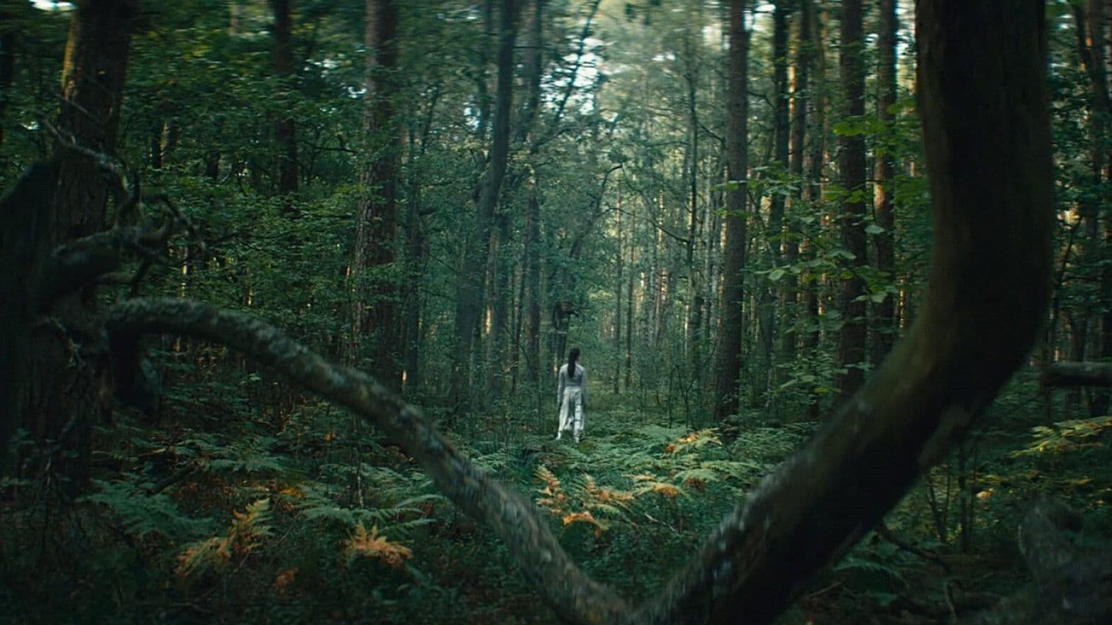 Poster backdrop for Ambition: Epilogue