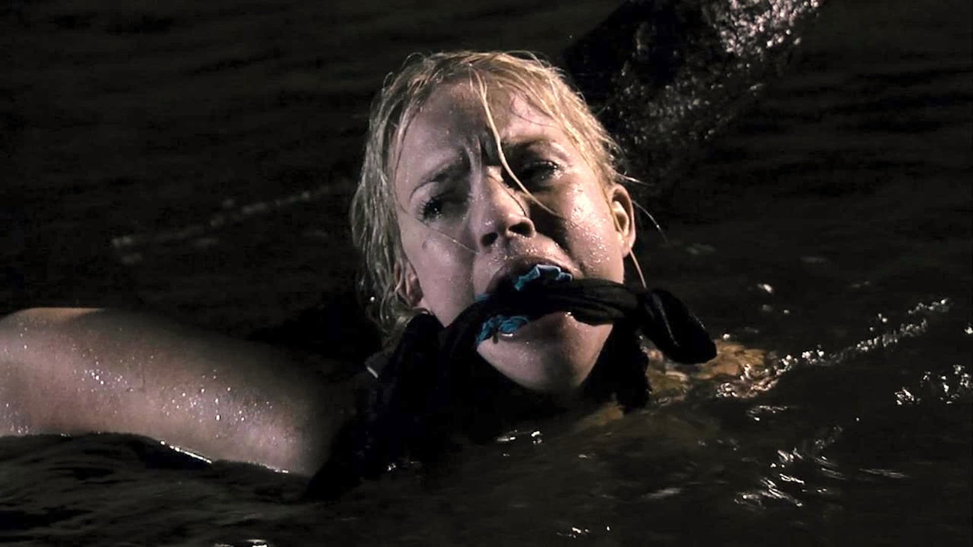 Poster backdrop for Savages Crossing