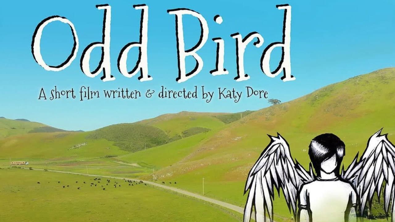 Poster backdrop for Odd Bird