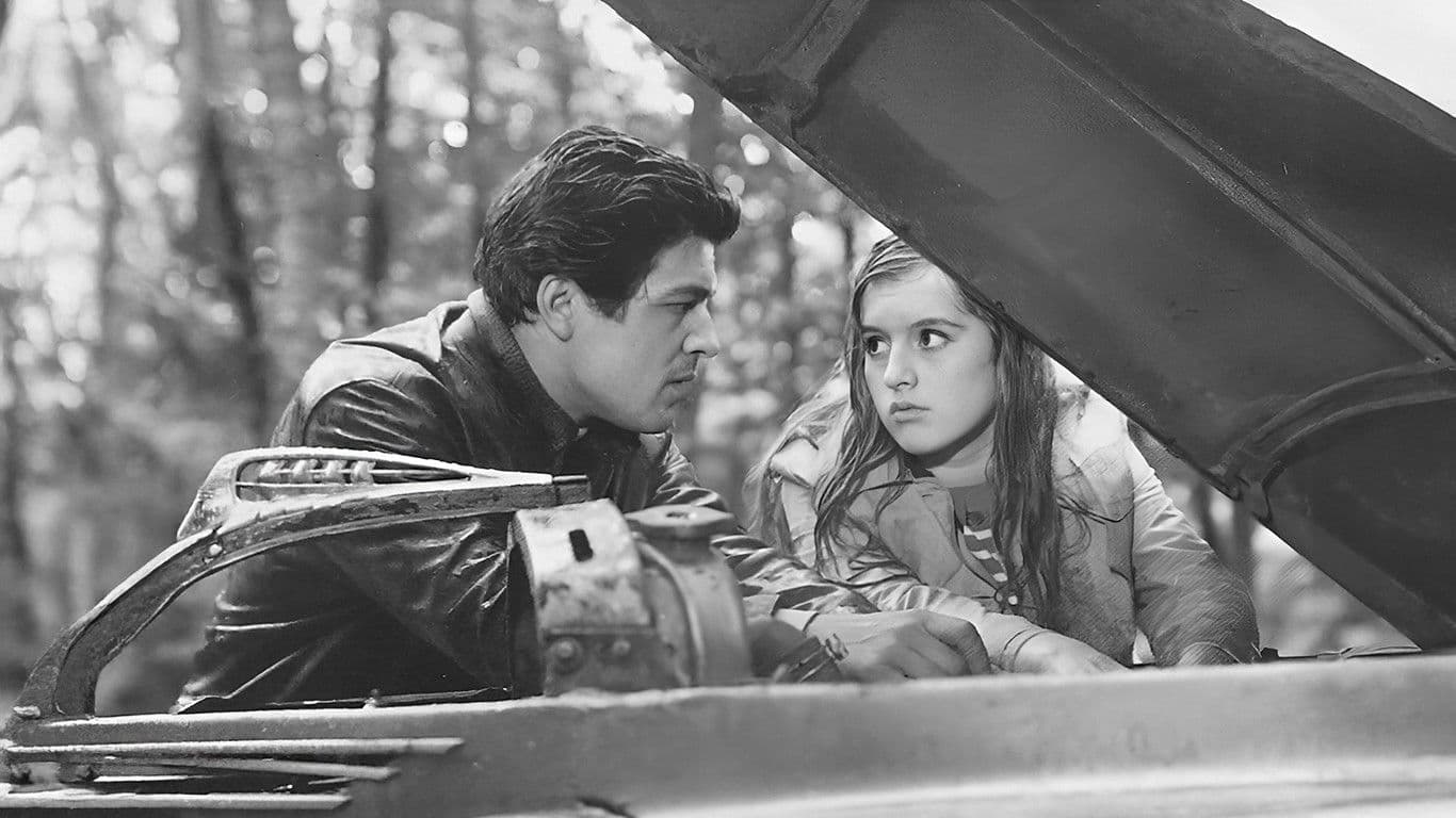 Poster backdrop for This Is How Destiny Wanted