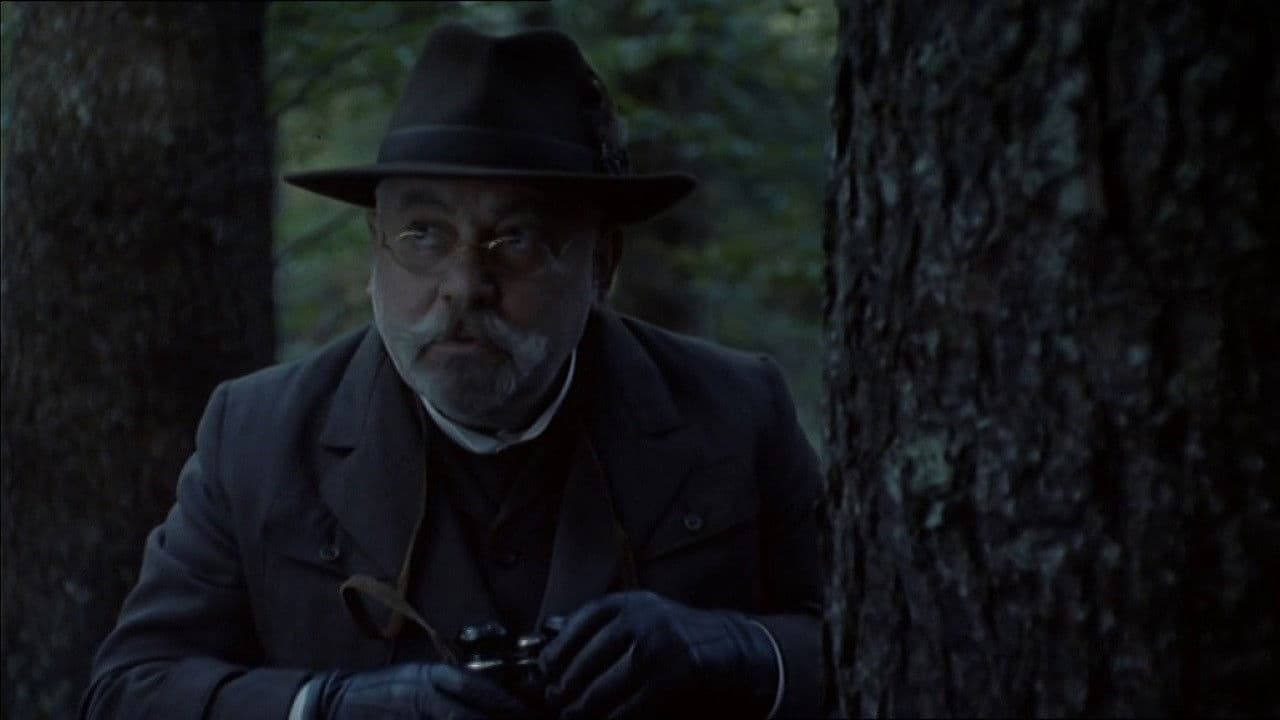 Poster backdrop for The Secret of the Old Woods