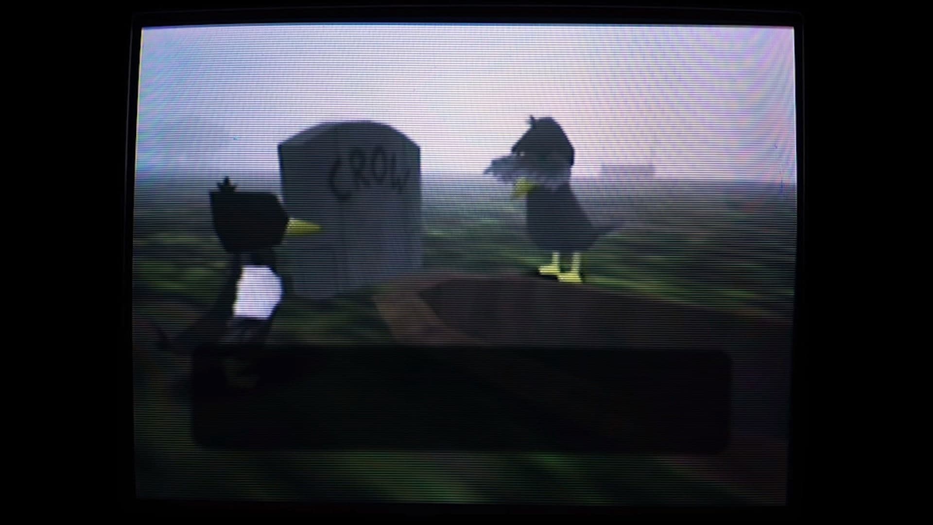 Poster backdrop for What Happened to Crow 64?