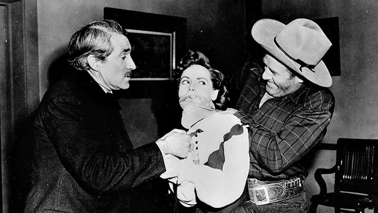 Poster backdrop for Fort Dodge Stampede