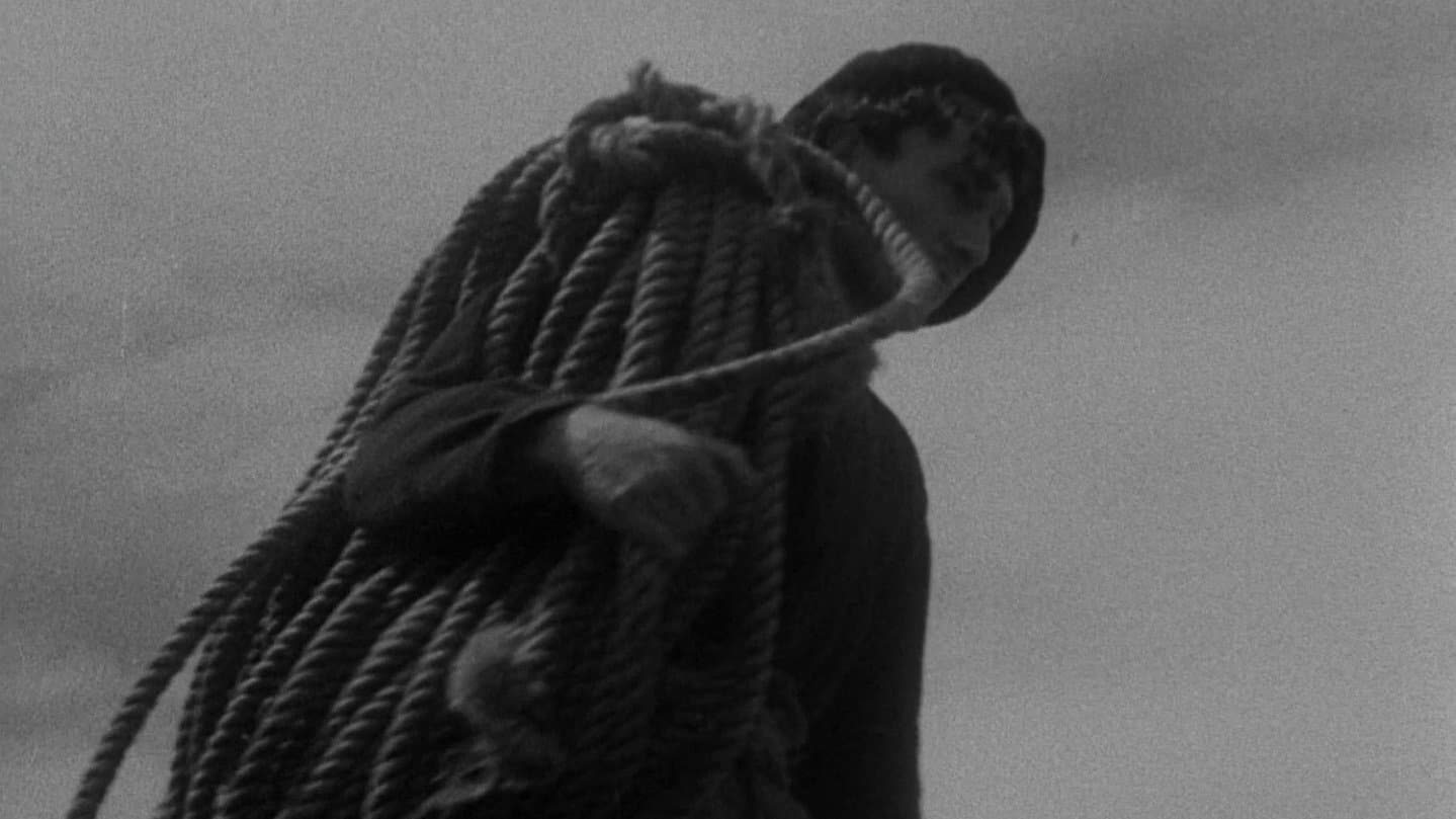 Poster backdrop for Man of Aran