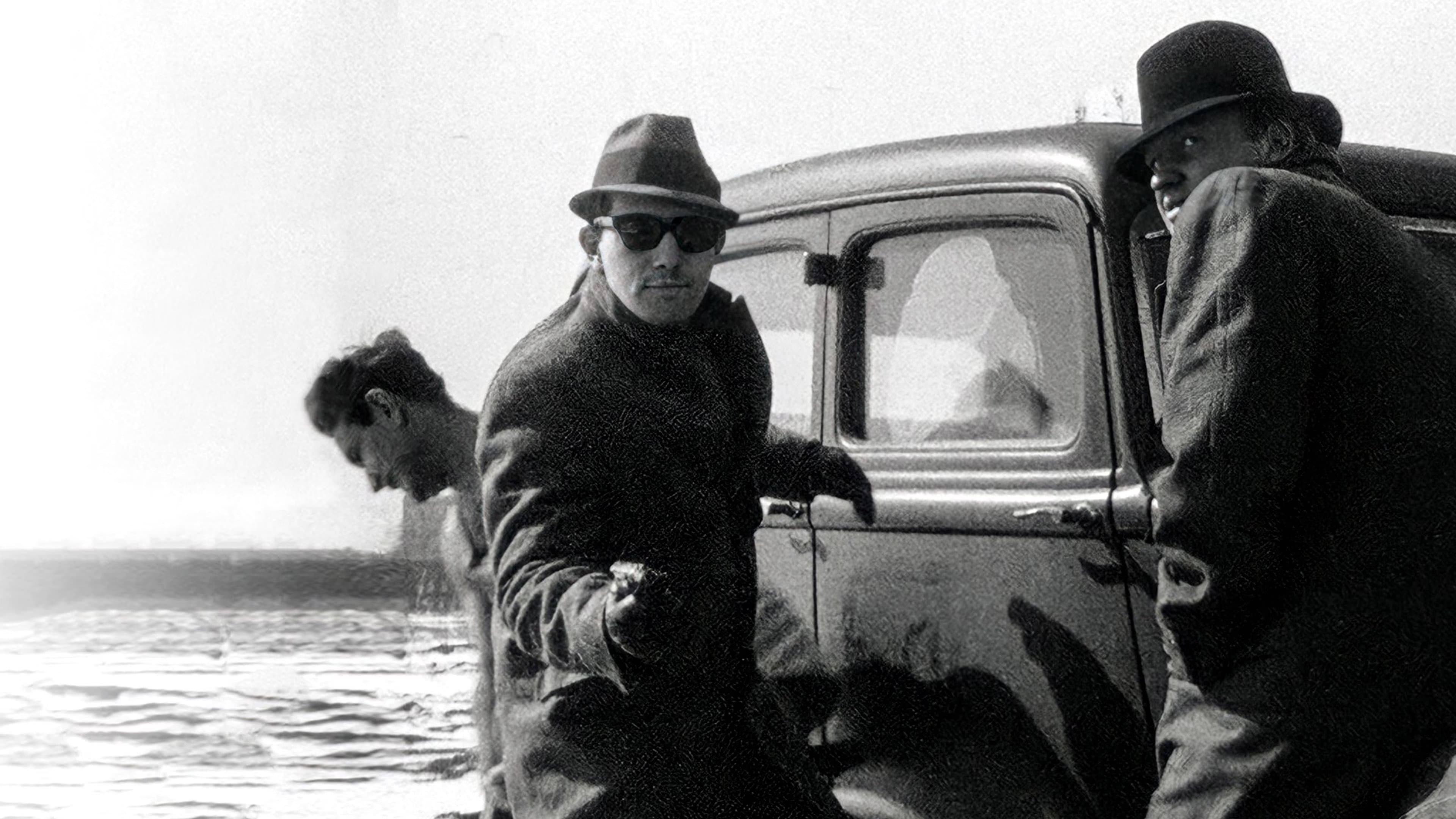 Poster backdrop for It's Not Just You, Murray!