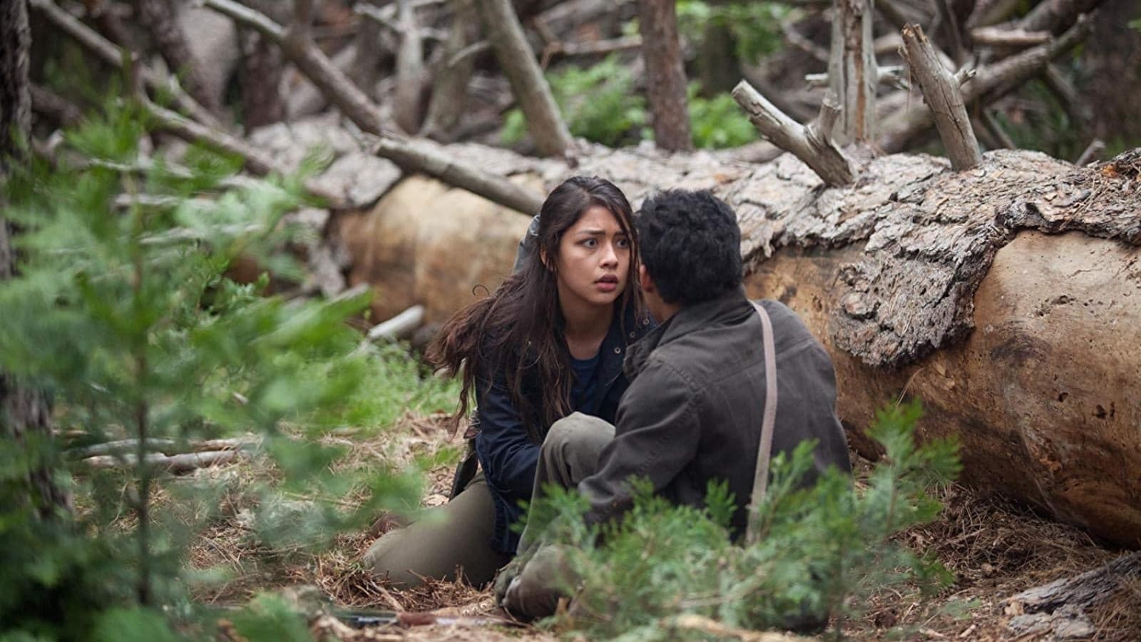 Poster backdrop for What Still Remains