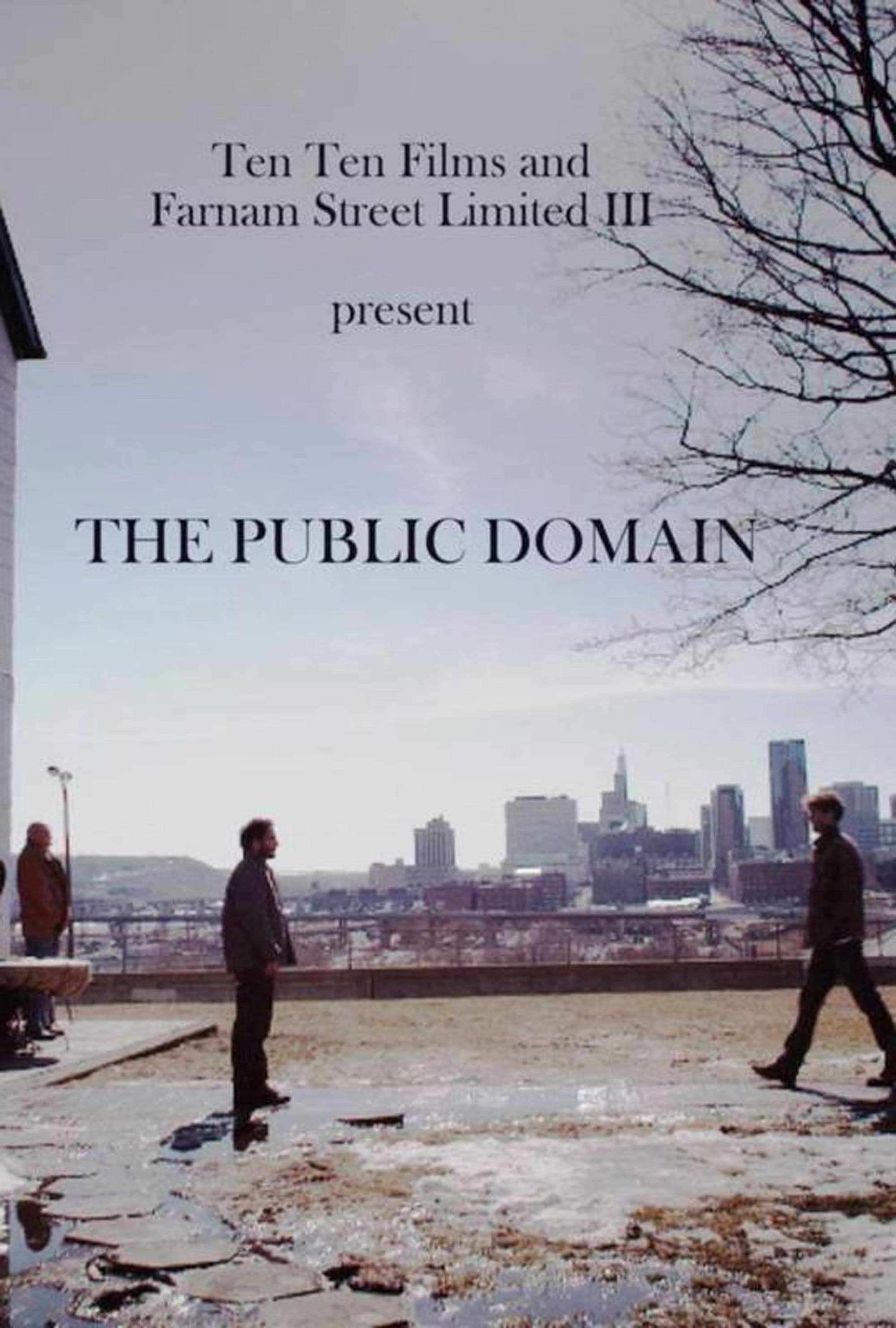 Poster backdrop for The Public Domain