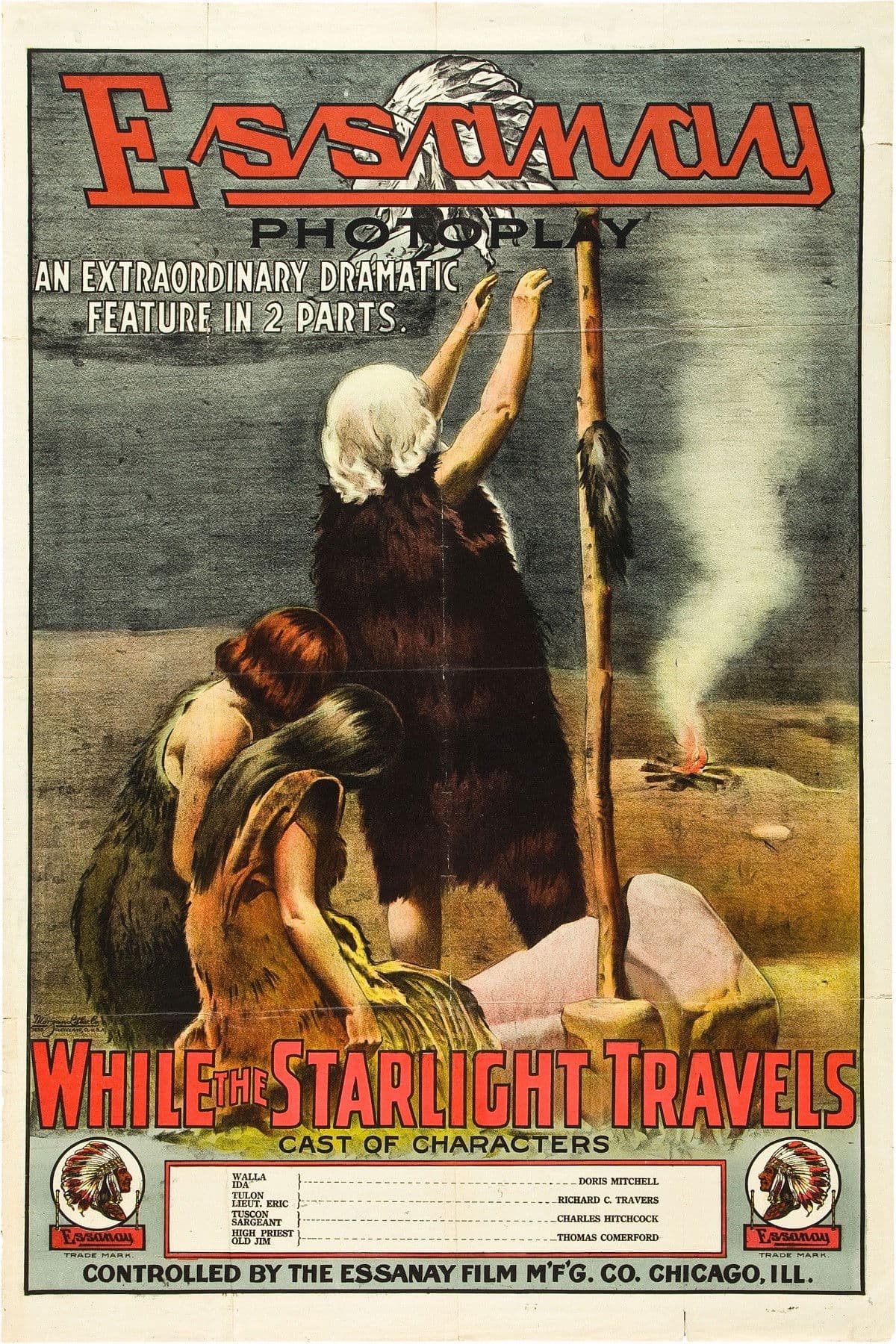 Poster backdrop for While the Starlight Travels