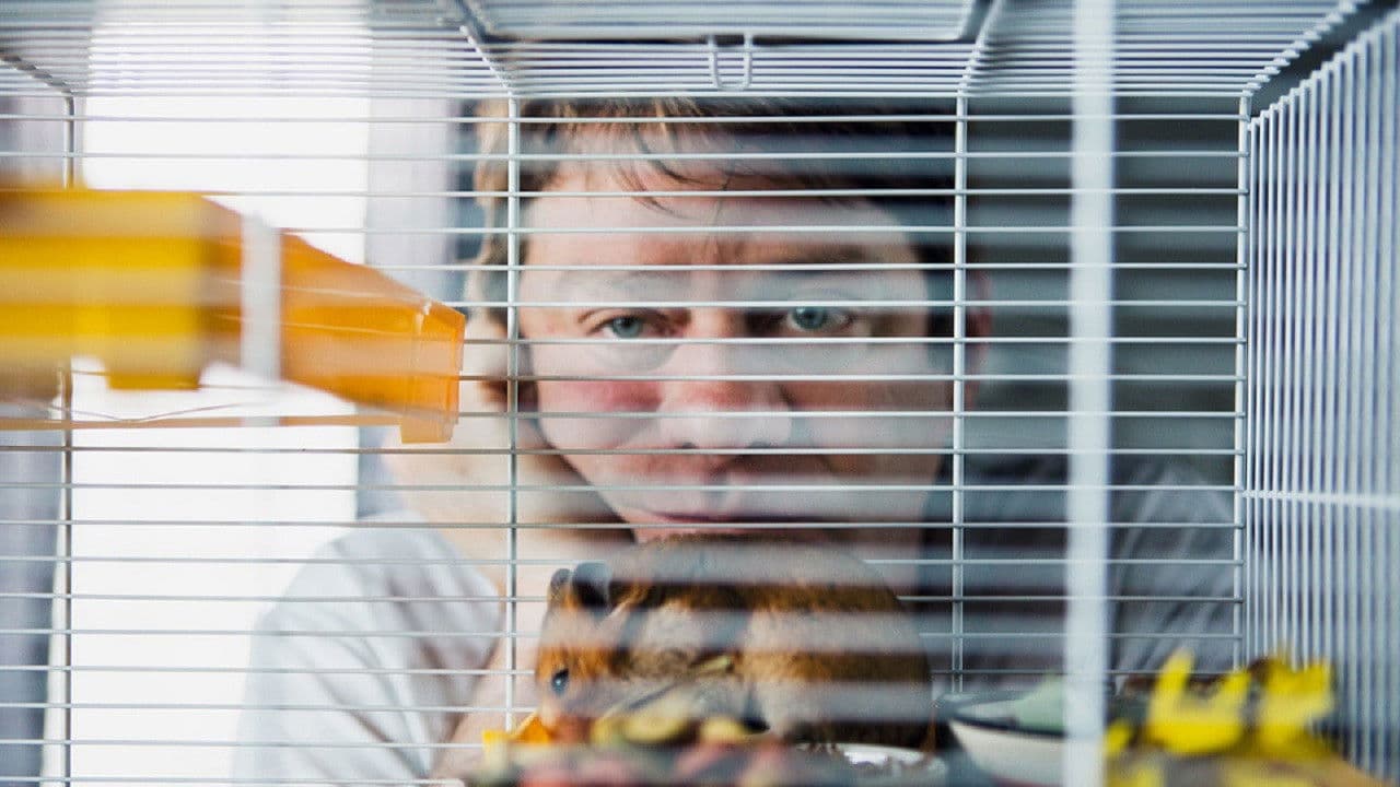 Poster backdrop for Der Hamster