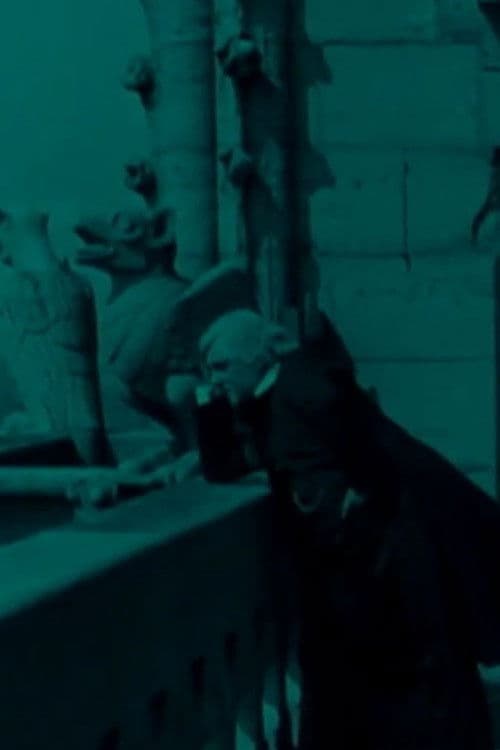 Poster backdrop for The Bell Ringer's Daughter