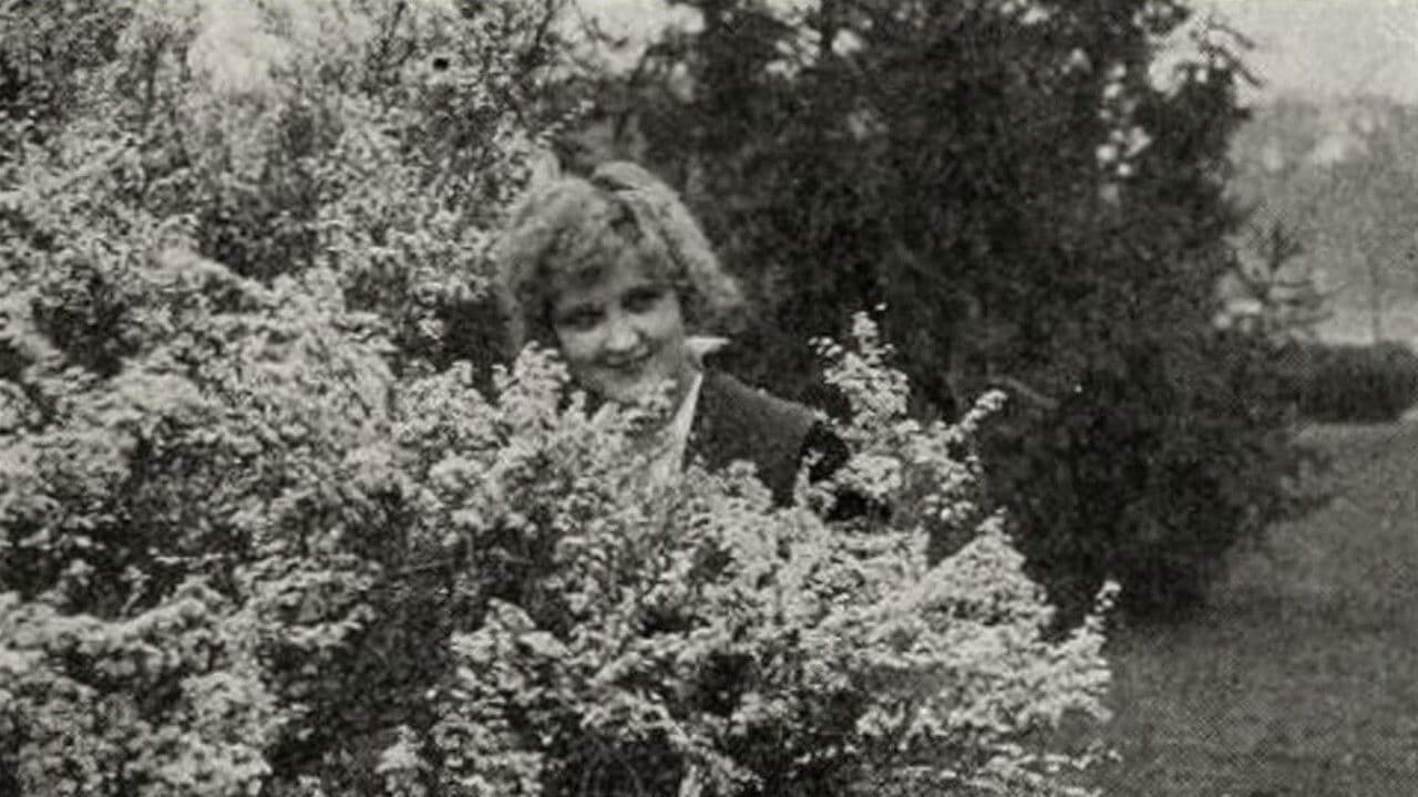 Poster backdrop for Gambier's Advocate