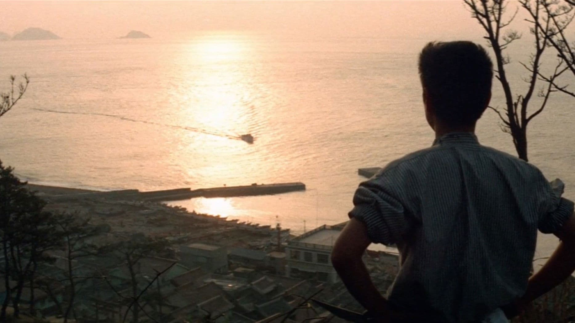 Poster backdrop for The Sound of Waves