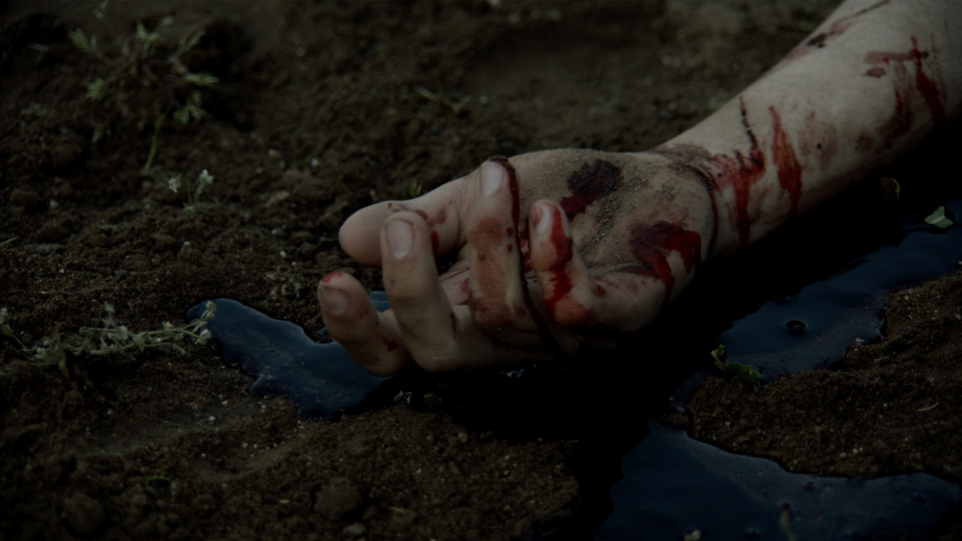 Poster backdrop for Descent