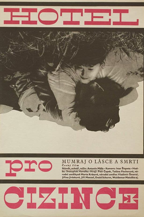 Poster backdrop for Hotel for Strangers