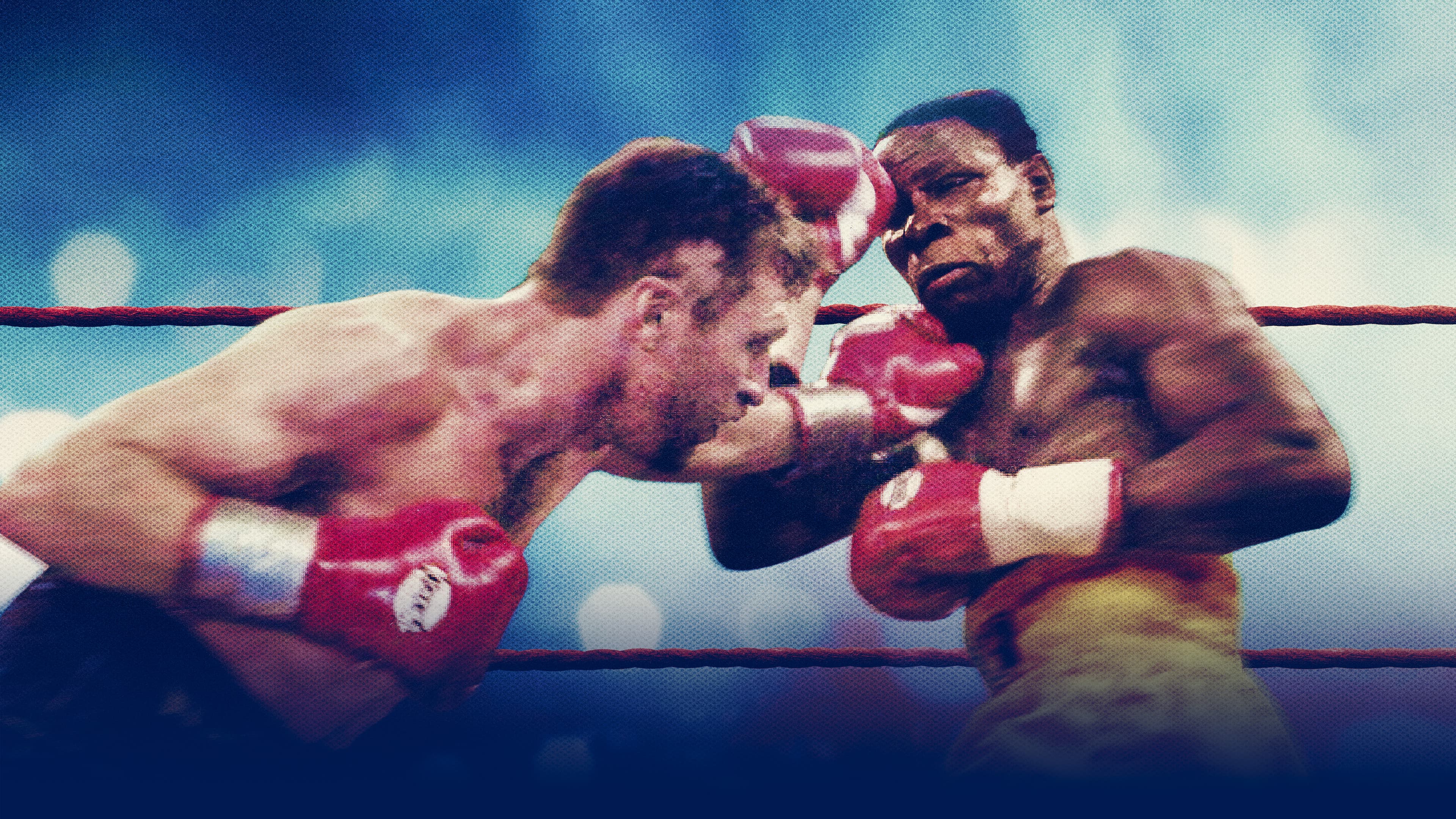 Poster backdrop for One Night in Millstreet