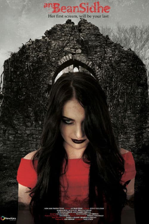 Poster backdrop for An Bean Sidhe