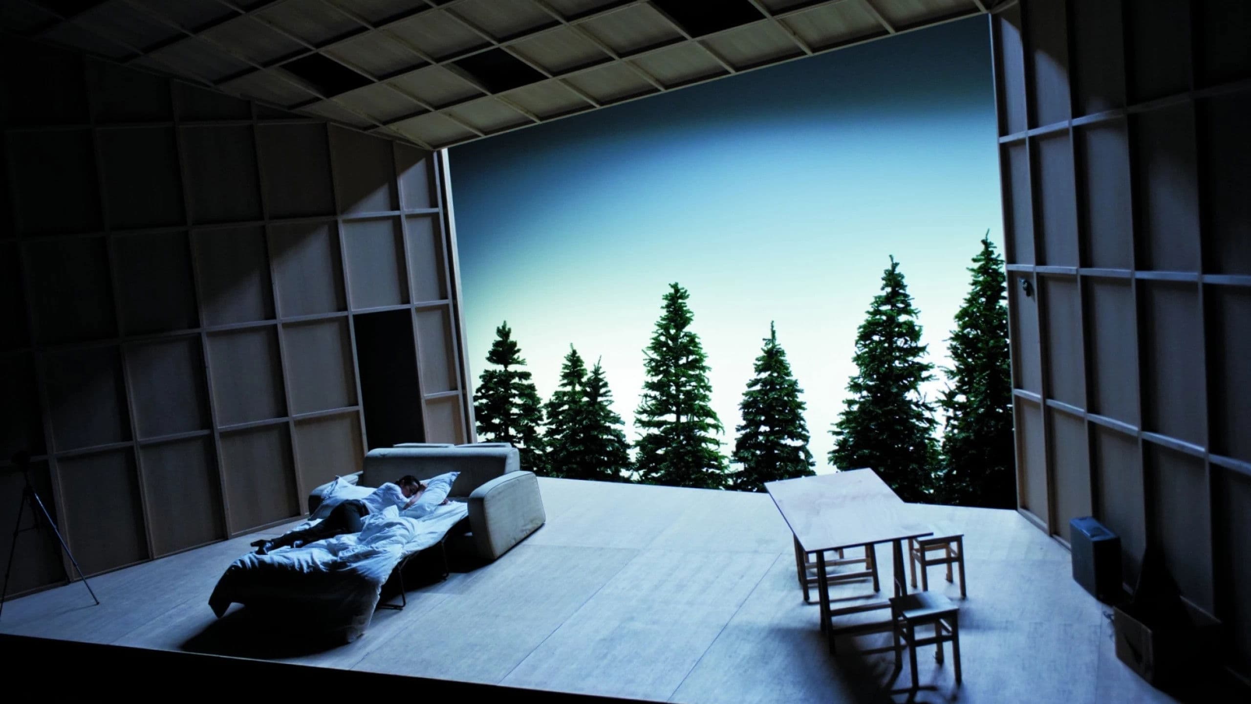 Poster backdrop for Le Canard sauvage