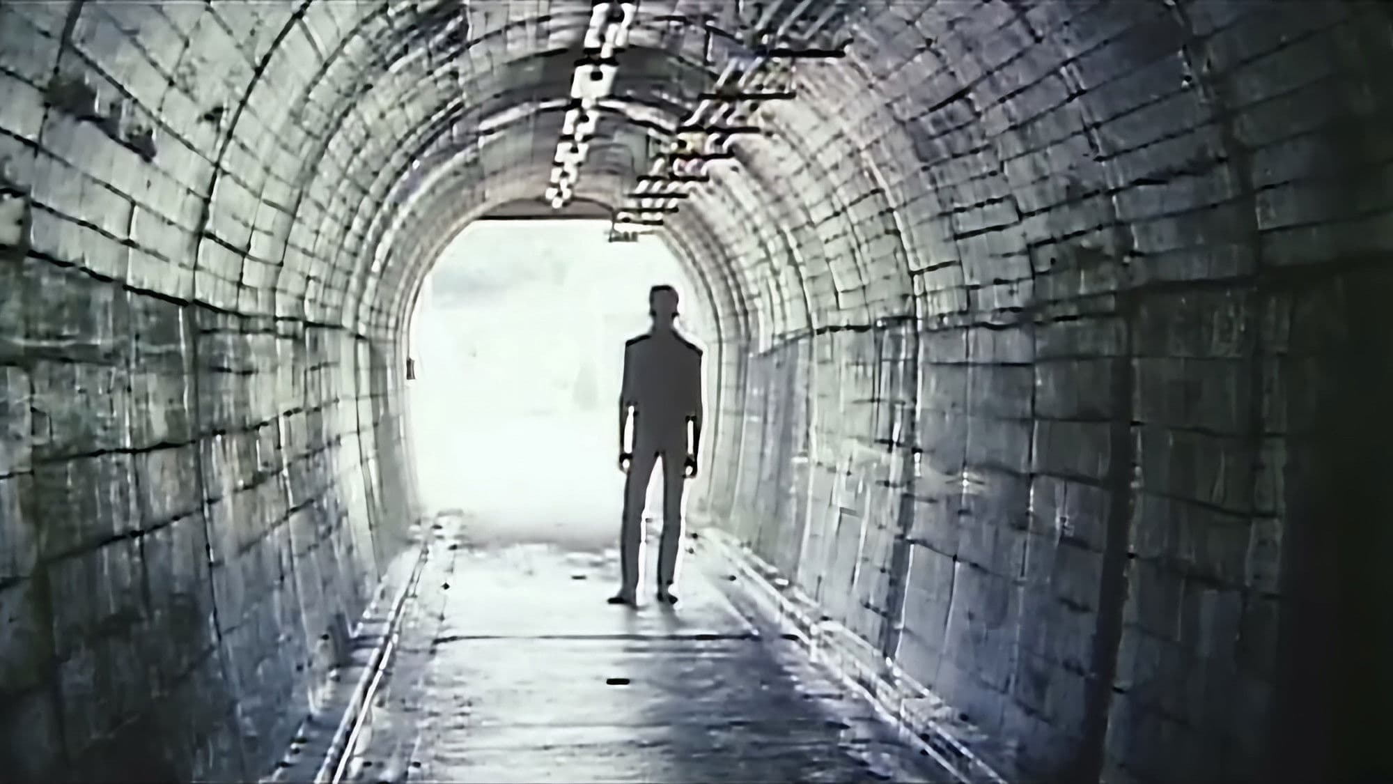 Poster backdrop for The Serial Rape Murderer