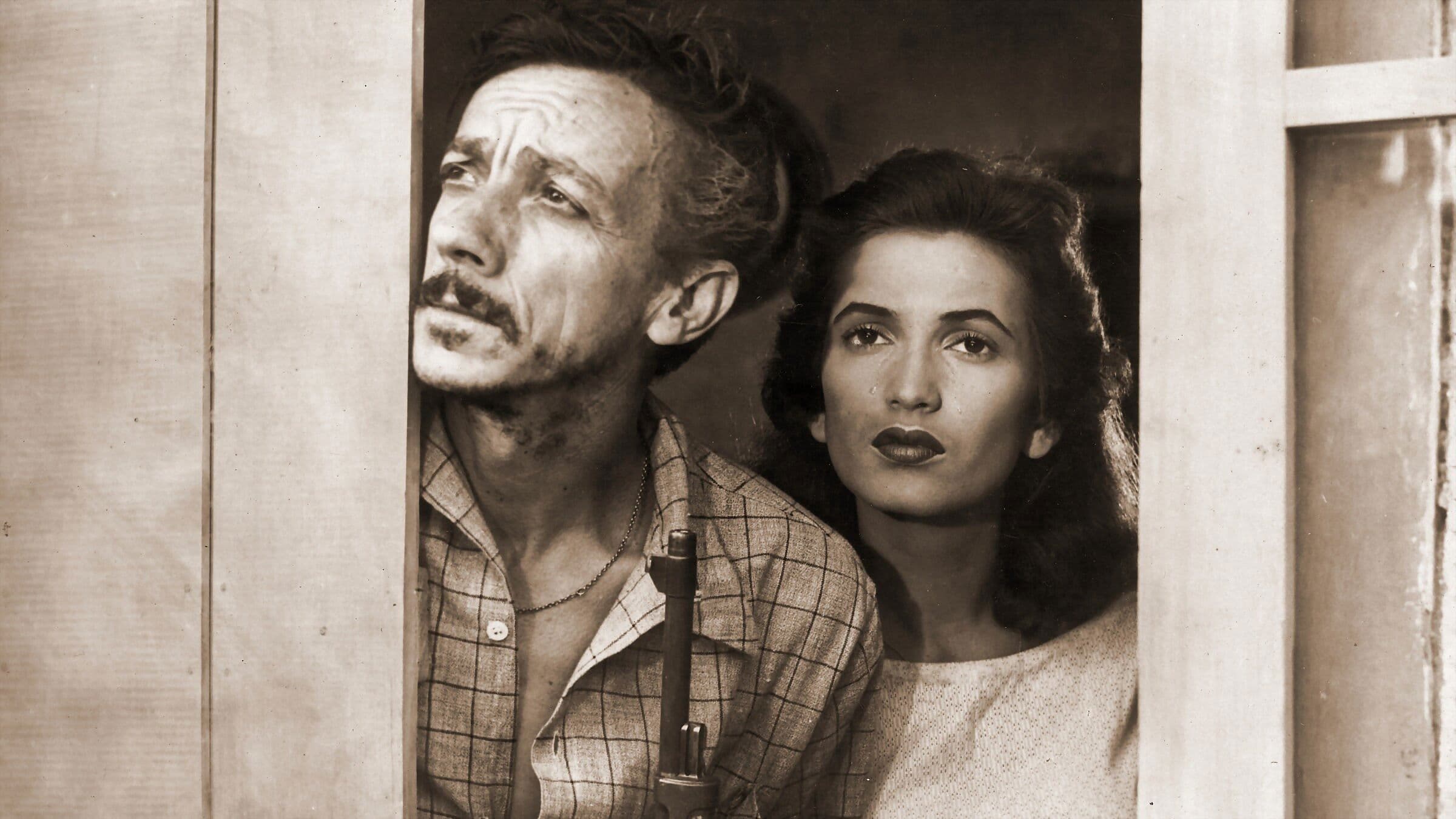 Poster backdrop for A Carrocinha