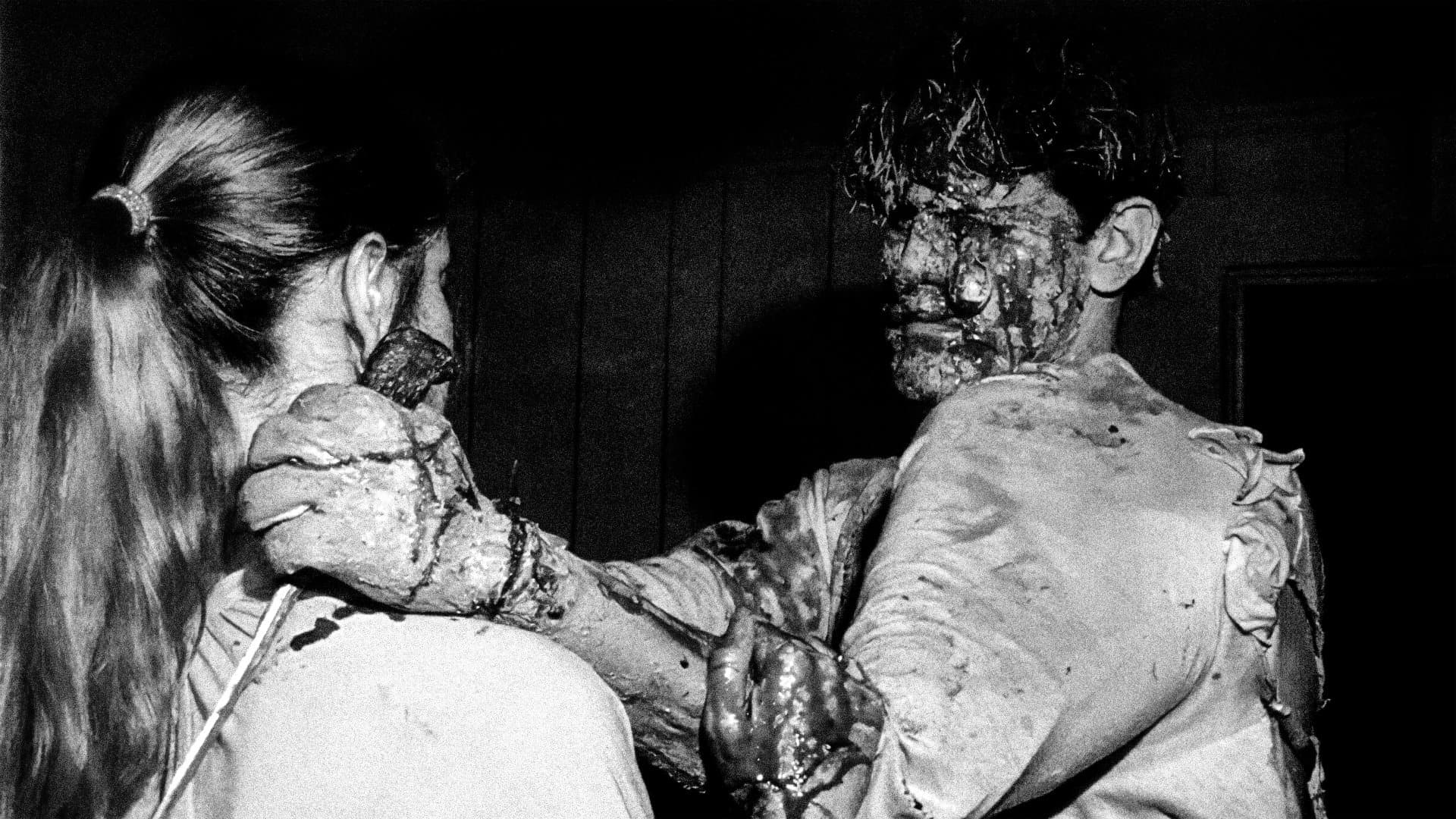 Poster backdrop for Within the Woods