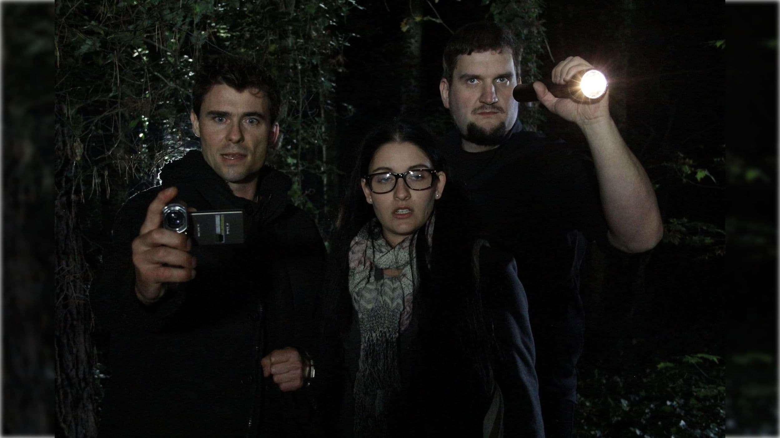 Poster backdrop for Verloren