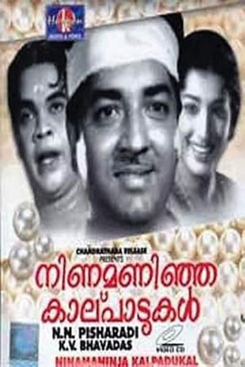 Poster backdrop for Ninamanija Kalpadukal