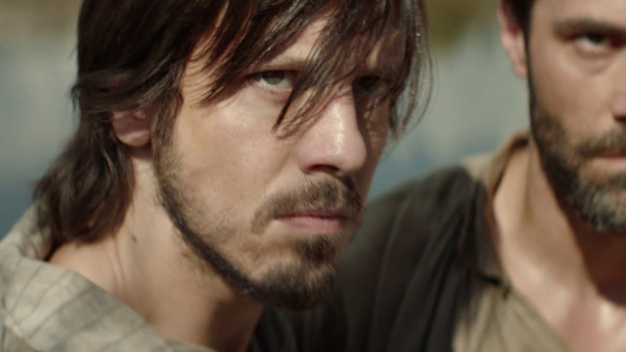 Poster backdrop for The Fig Tree