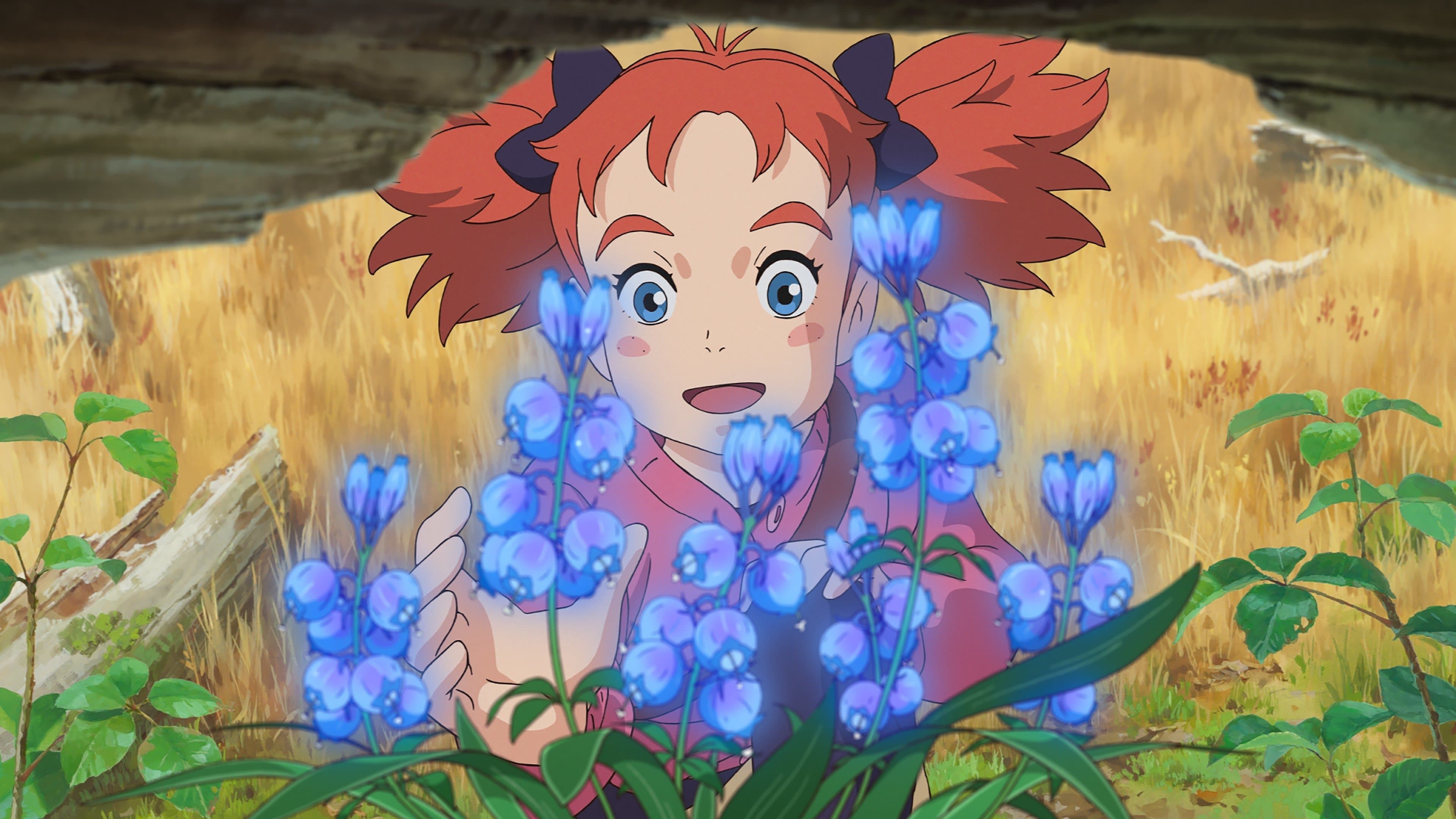 Poster backdrop for Mary and The Witch's Flower