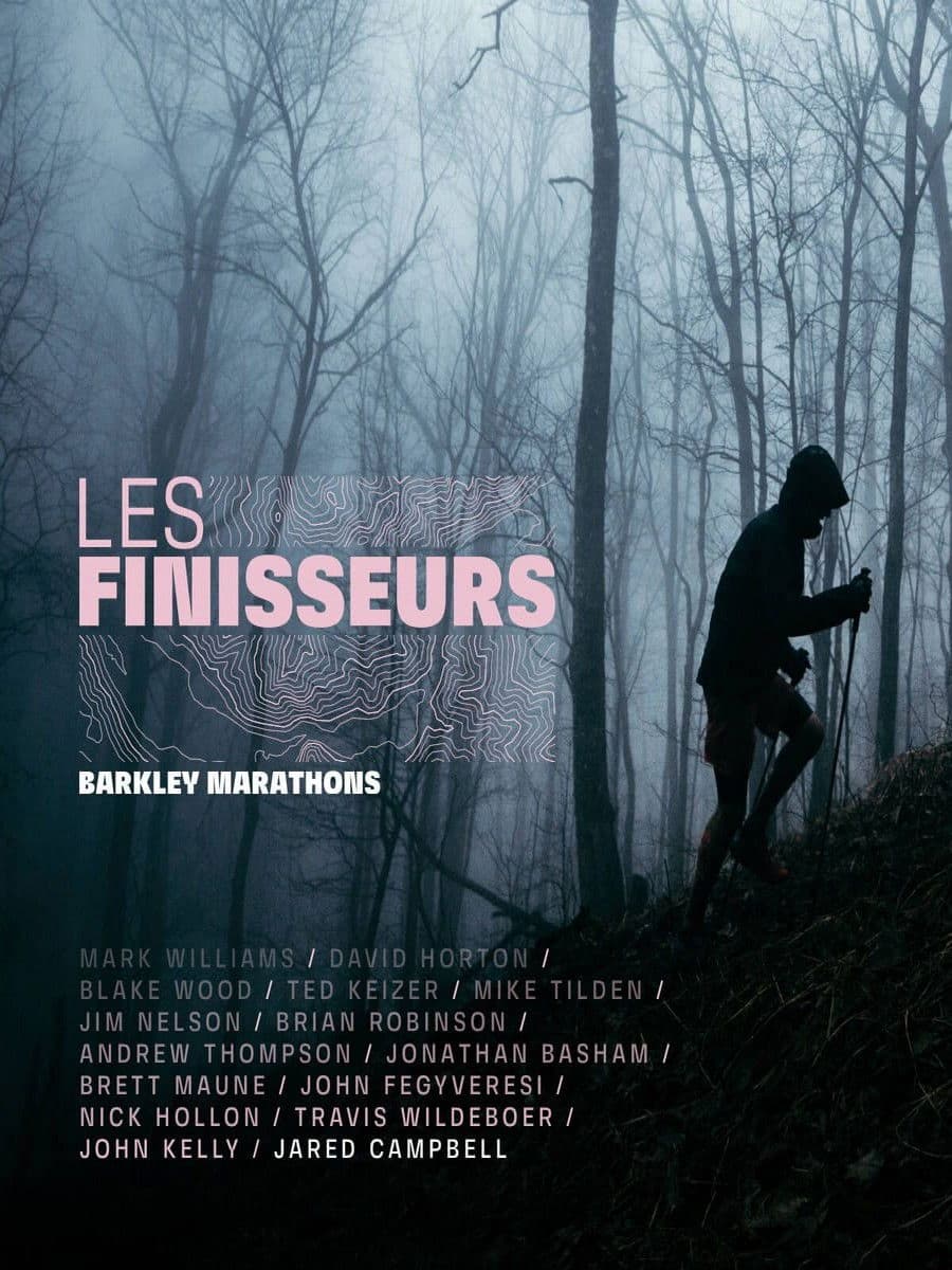 Poster backdrop for Les Finisseurs